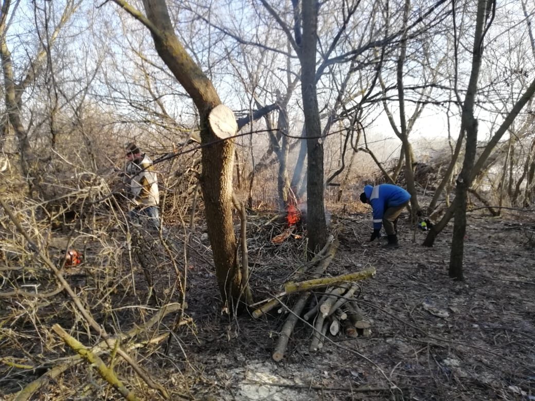 Вырубка кустарника и деревьев в д.Березовка.